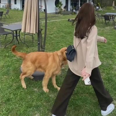 动物园真相第二季